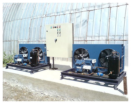 Холодильное оборудование для фруктов