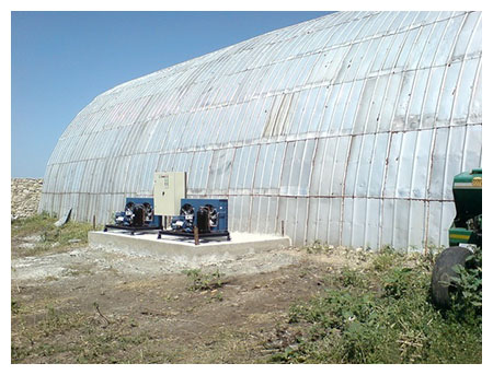 ​ Холодильное оборудование для овощей