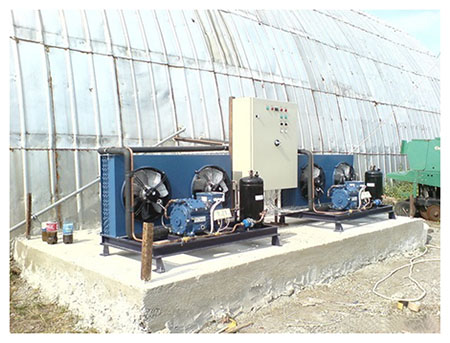 Холодильное оборудование для овощей